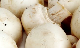 Как варить грибы шампиньоны