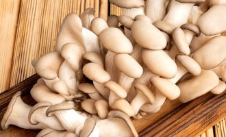 Как варить грибы вешенки