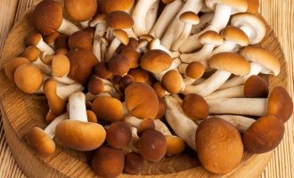 Как варить грибы опята