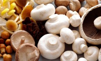 Как варить грибы