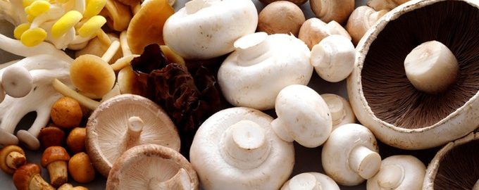 Как варить грибы