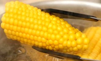 Как варить свежую кукурузу