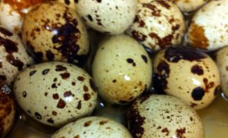 Как сварить перепелиные яйца всмятку