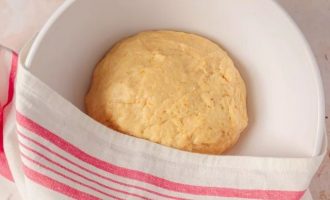 Сформируйте из теста шар и поместим его в миску, накрытую чистой хлопчатобумажной тканью, отправьте в теплое место