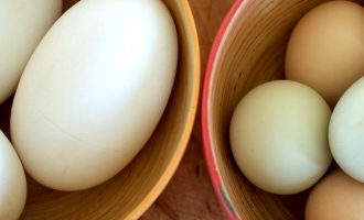 Сколько минут варить разные яйца