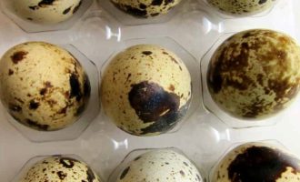 Сколько минут варить перепелиные яйца