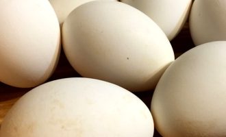 Сколько минут варить гусиные яйца