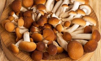 Сколько варить грибы опята