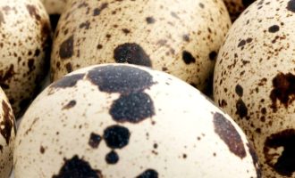 Сколько нужно варить перепелиные яйца