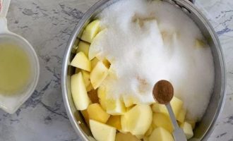Добавьте в кастрюлю с яблоком сахар, воду, лимонный сок, корицу и поставьте варить